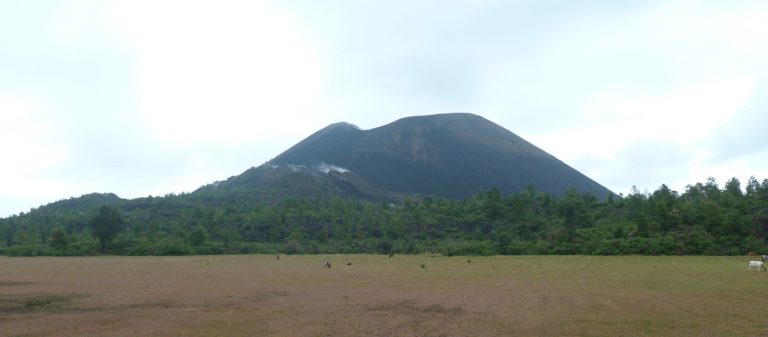 Parangaricutiro San Juan Ruinas Del Templo Volcan Paricutin