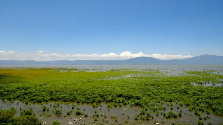 Le lac de Chapala (Jalisco)