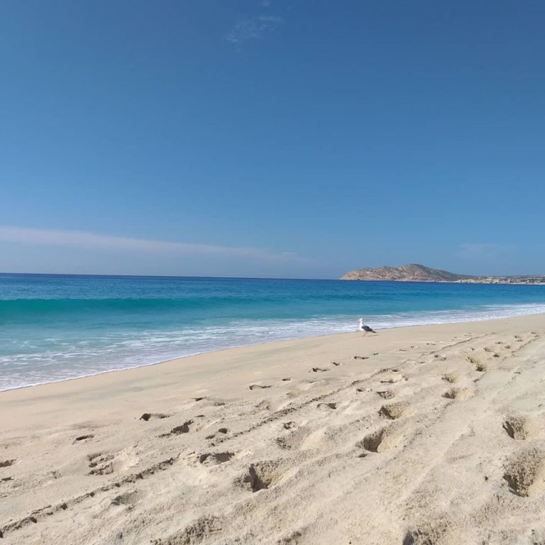 Isla Espíritu Santo (Baja California Sur)