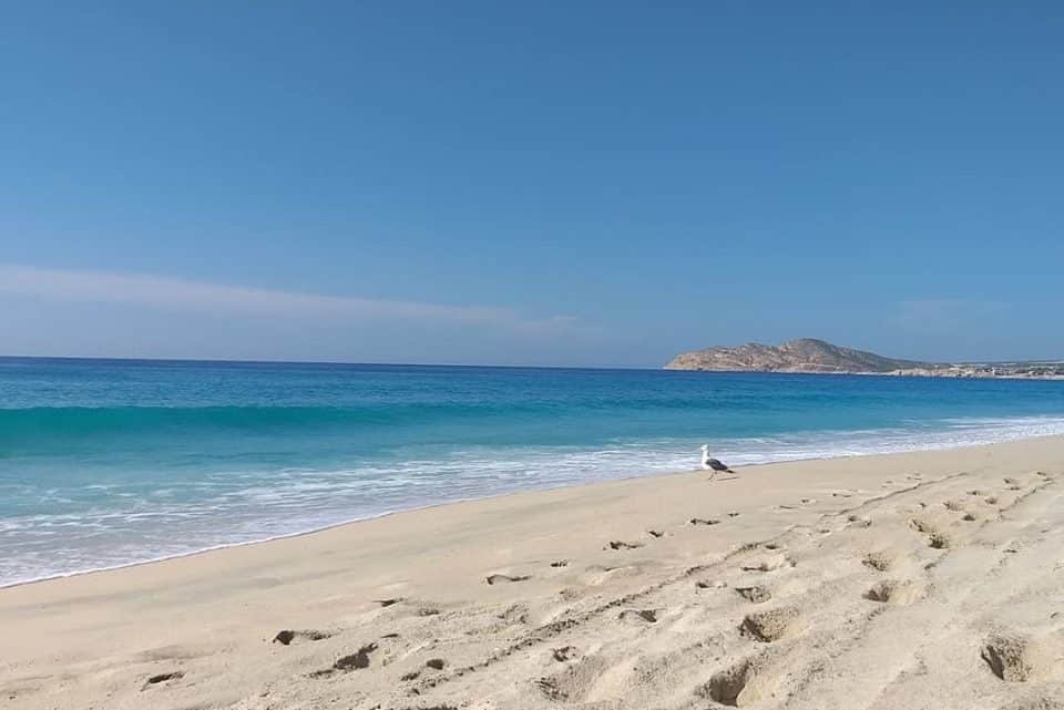 Isla Espíritu Santo (Baja California Sur)