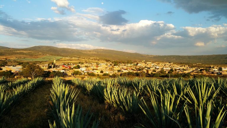 La ville de Tequila (Jalisco)