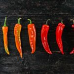 Les 64 piments du Mexique