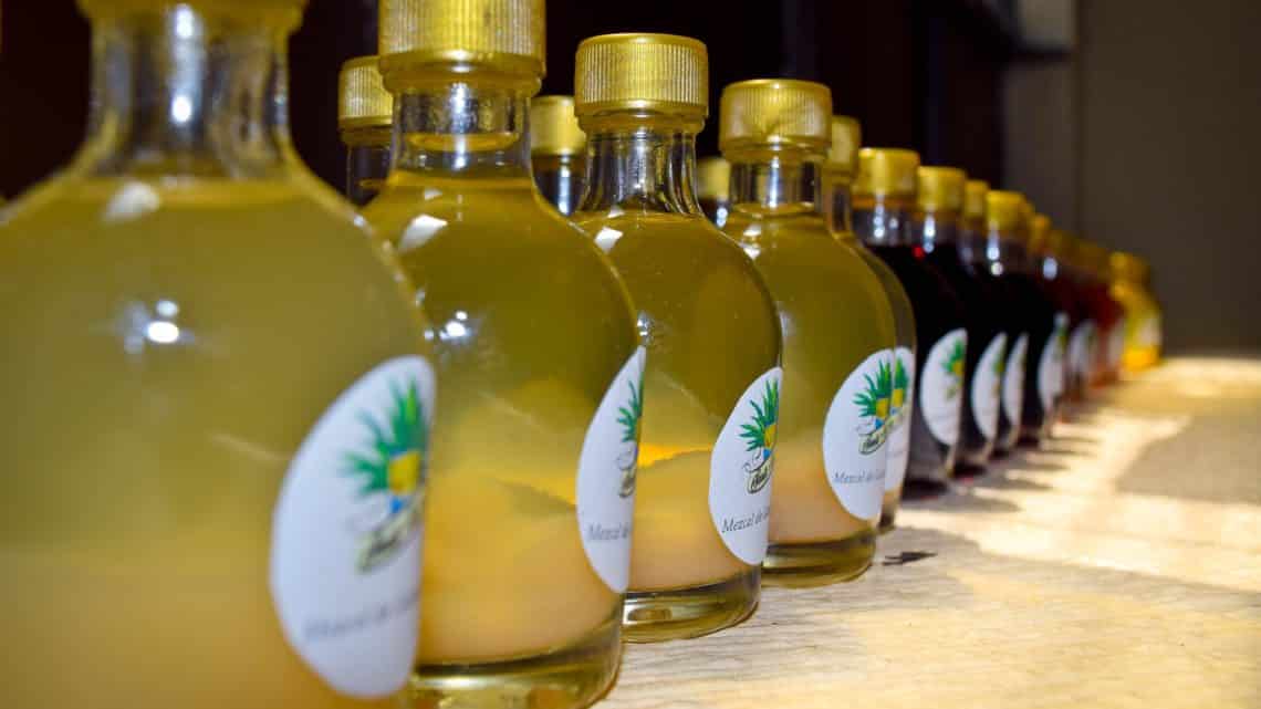 Le Mezcal – boisson typique du Mexique