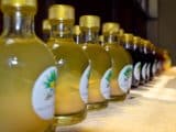 Mezcal boisson alcoolisée mexicaine agave