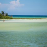 Isla Cocinas (Jalisco)