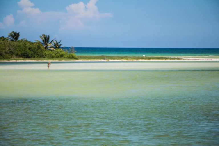 Isla Cocinas (Jalisco)