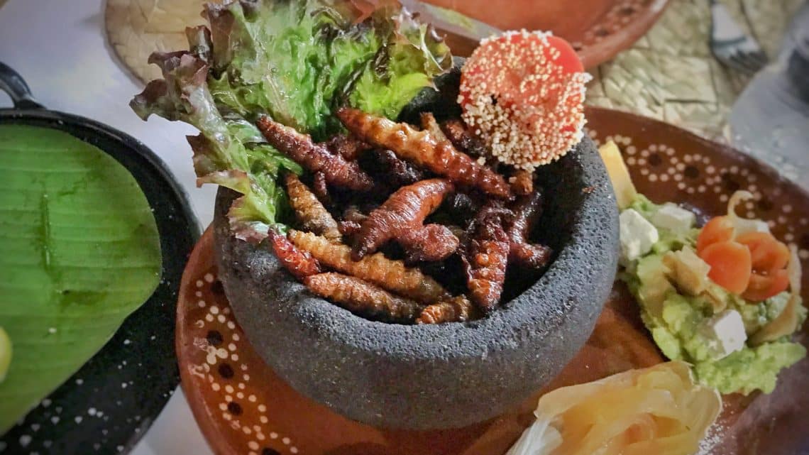 10 insectes comestibles au Mexique