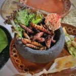 insectes comestibles au Mexique / entomophagie