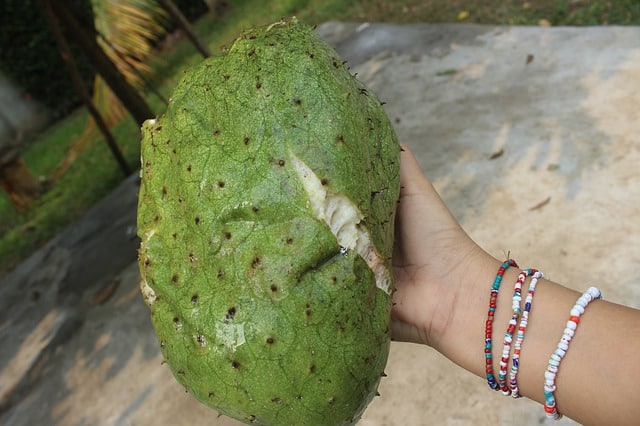 Guanabana