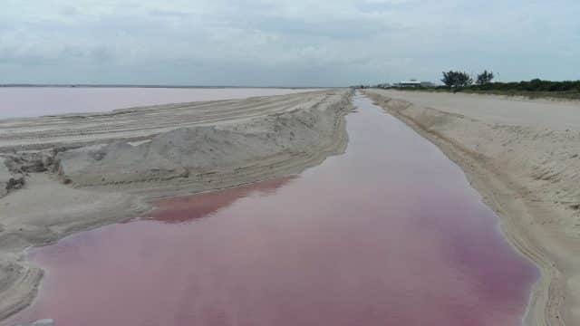 Lac Rose du Mexique