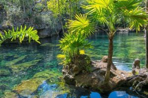 Le Cenote Oxman et l'Hacienda San Lorenzo