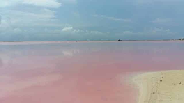 Pink Lakes du Mexique