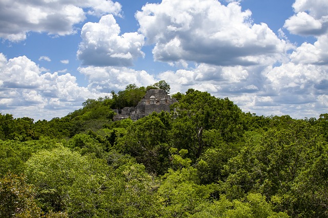 Le site Maya Calakmul