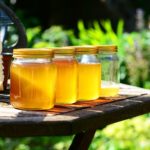 Le miel du Mexique - Yucatan - Cancun