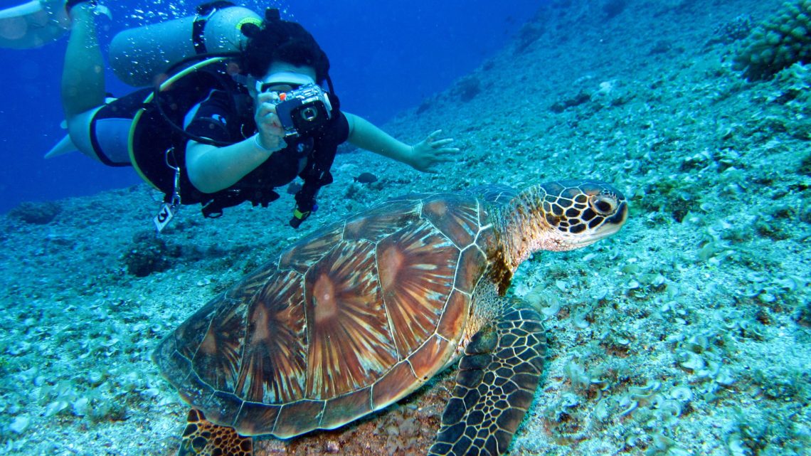 Plongée sous-marine au Mexique