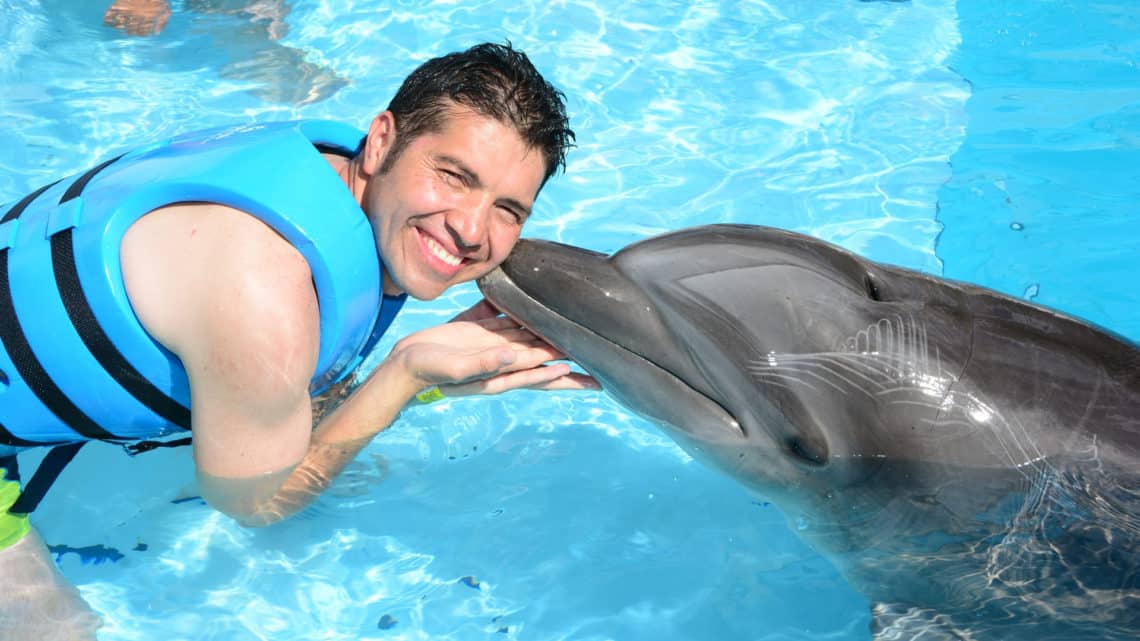 Nager avec les Dauphins du Mexique