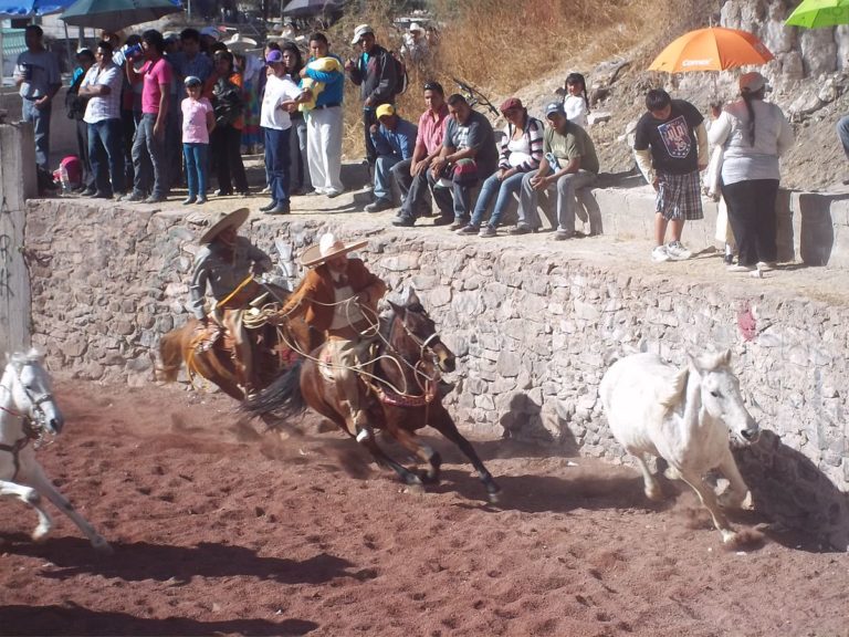 Charrería - Rodeo mexicain à Guadalajara