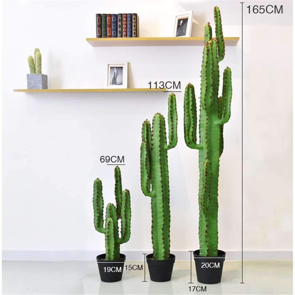 Quelle forme et quelle taille de cactus artificiel choisir ?