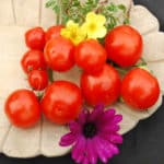 Tomate Miel du Mexique
