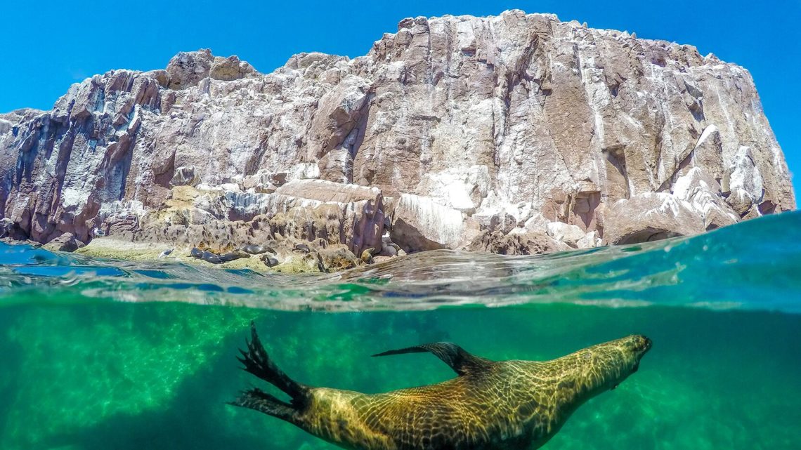 La mer de Cortez au Mexique