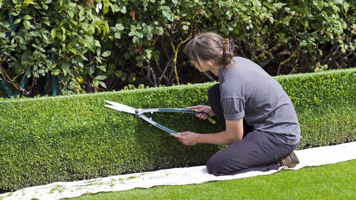 Travailler comme jardinier au Mexique