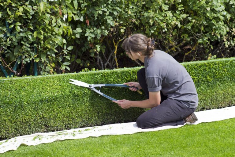 Travailler comme jardinier au Mexique