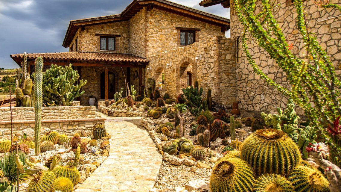 Reussir un jardin mexicain | Tous nos conseils