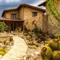 Reussir un jardin mexicain | Tous nos conseils