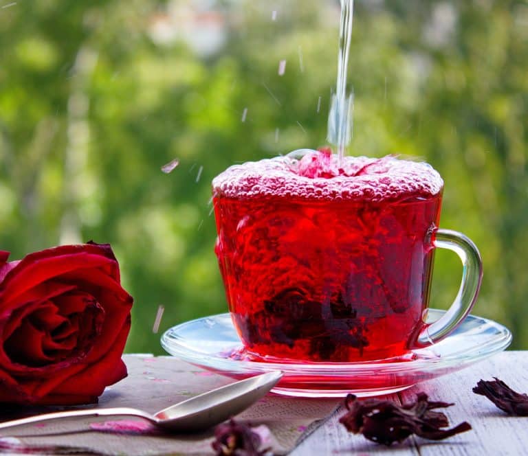 Agua de Jamaica (thé d'hibiscus) | Recette facile