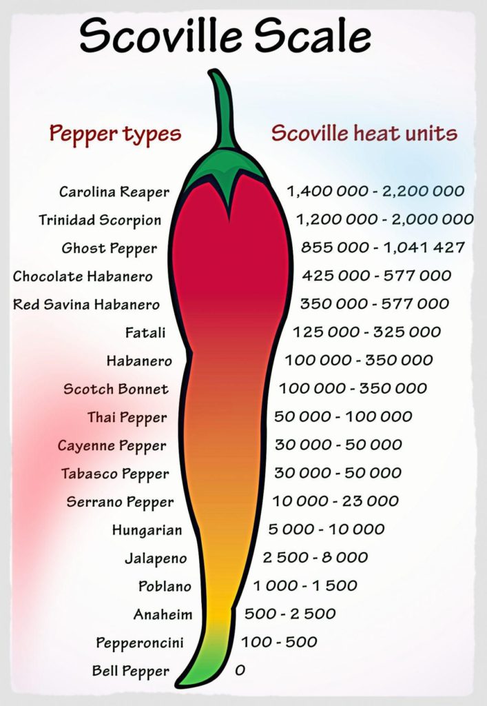 Echelle des piments