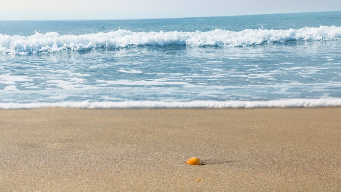 La meilleure période pour partir à Los Cabos