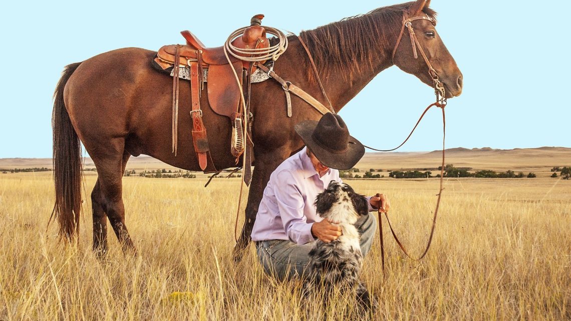 Les meilleurs westerns mexicains
