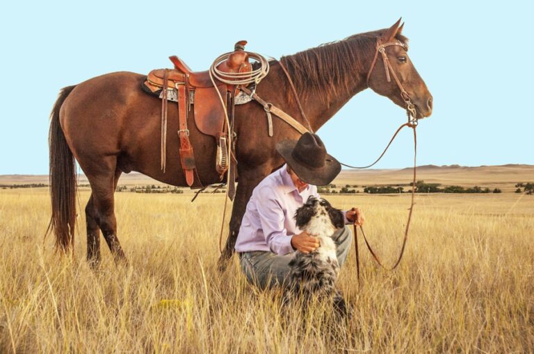 Les meilleurs westerns mexicains