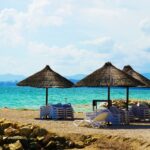 Qu'est-ce qu'une palapa ?