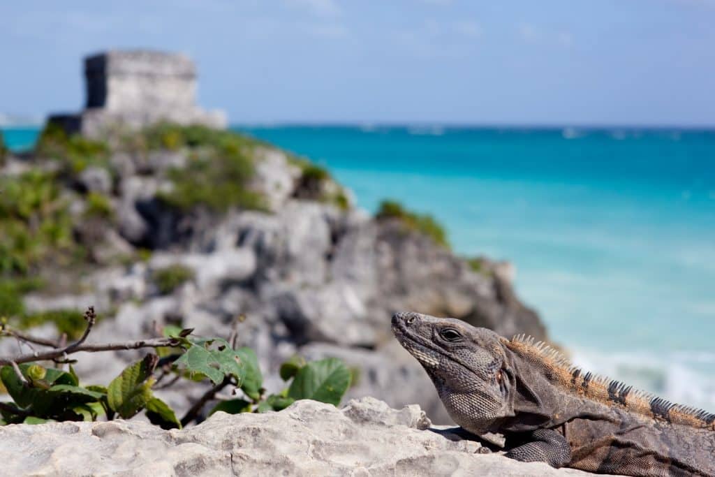 Heures de vol Paris-Tulum