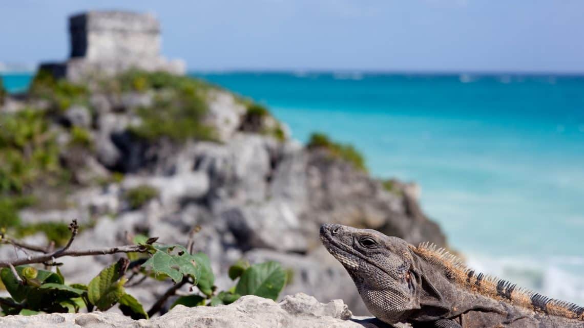 Heures de vol Paris-Tulum