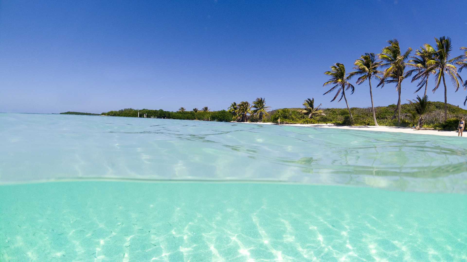 Où se loger à Cancún ? Les meilleurs quartiers