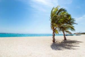 Quelle est la meilleure période pour aller à Playa del Carmen ?