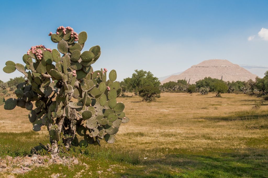 Heures et prix pour visiter Teotihuacan