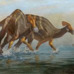 Nouvelle espèce de dinosaures découvertes au Mexique