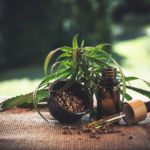 Comment et où acheter des produits CBD au Mexique ?