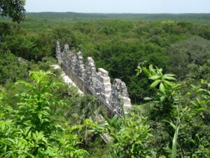 Ecosystème | Quel type de végétation trouve-t-on au Mexique ?