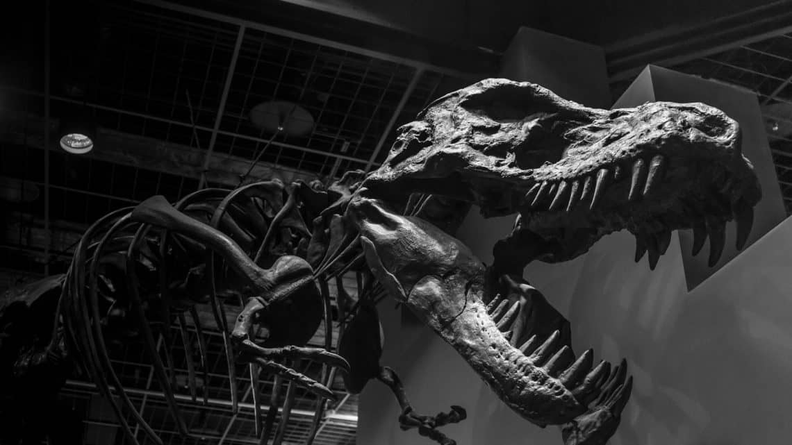 Les 10 meilleurs musées du Mexique