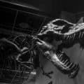 Les 10 meilleurs musées du Mexique