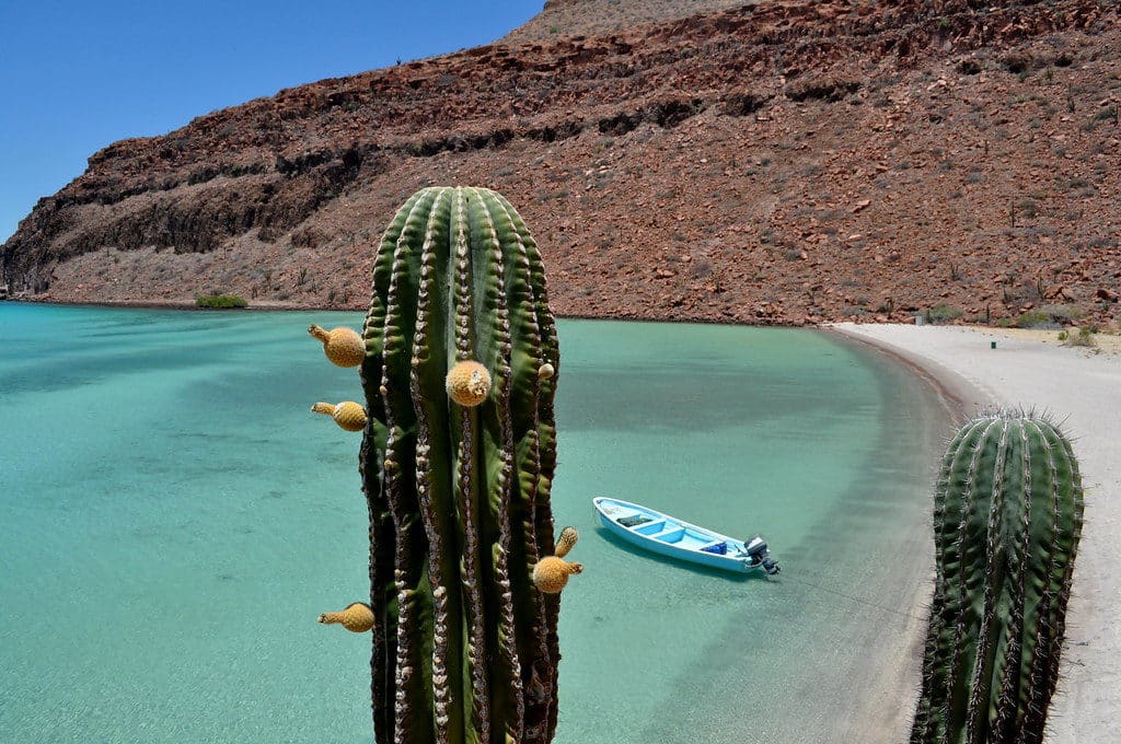 Isla Espiritu Santo, mexique, ecotourisme