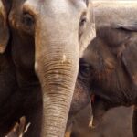 Le zoo de Guadalajara | Top 10 des activités