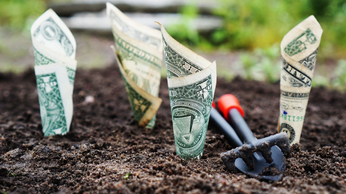 Les différents types d’investissement immobilier au Mexique Les différents types d’investissement immobilier au Mexique