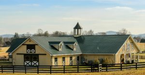 Guide pour acheter un ranch au Mexique