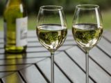 TOP 12 des meilleurs vins blancs mexicains