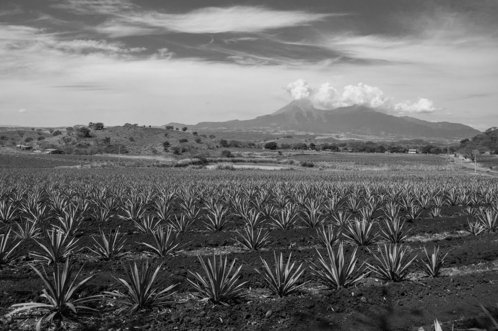 Volcan de feu de Colima Mexique